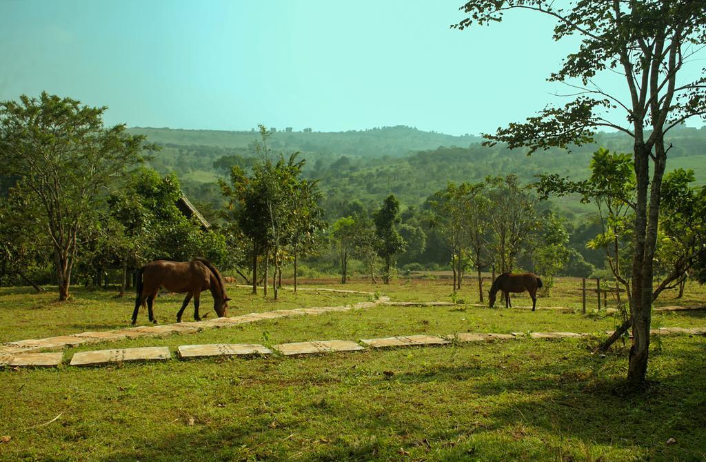 Nature Lodge Sen Monourom Luaran gambar
